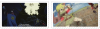Clevatess.png