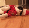 merry-christmas-seasons-greetings.gif