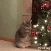 kitty-claws-christmas-tree-cat-playing-with-christmas-tree.gif