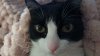 IMG-20221224-WA0000.jpeg