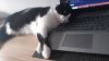 IMG-20210729-WA0042.jpeg