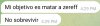 Screenshot_20251224_023339_Telegram.jpg
