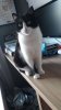 IMG-20180108-WA0044.jpeg