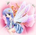 Fairy Blue