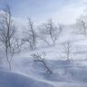 Snow Storm